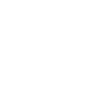 Web design Team in India